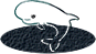 whale2.gif