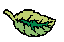 leaf03.gif